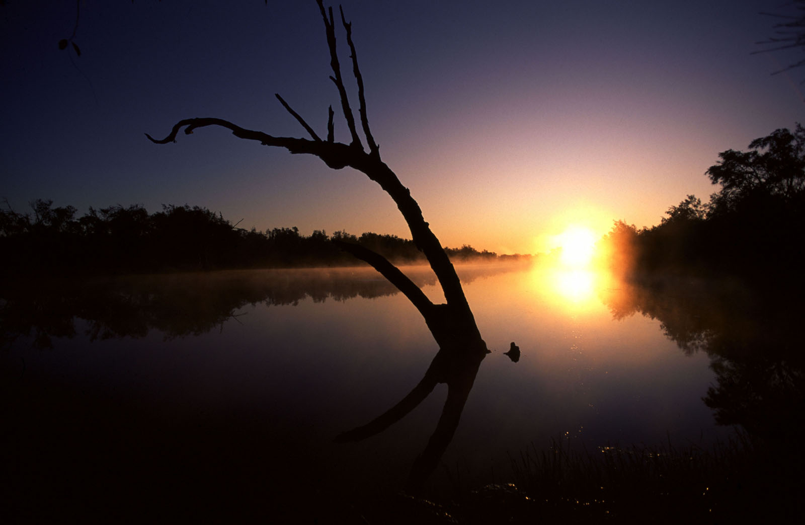 Sunrise