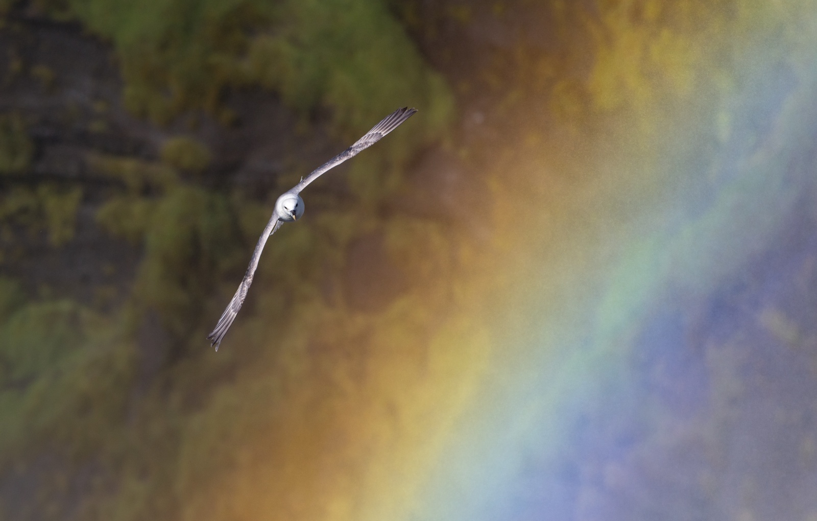 Over the rainbow