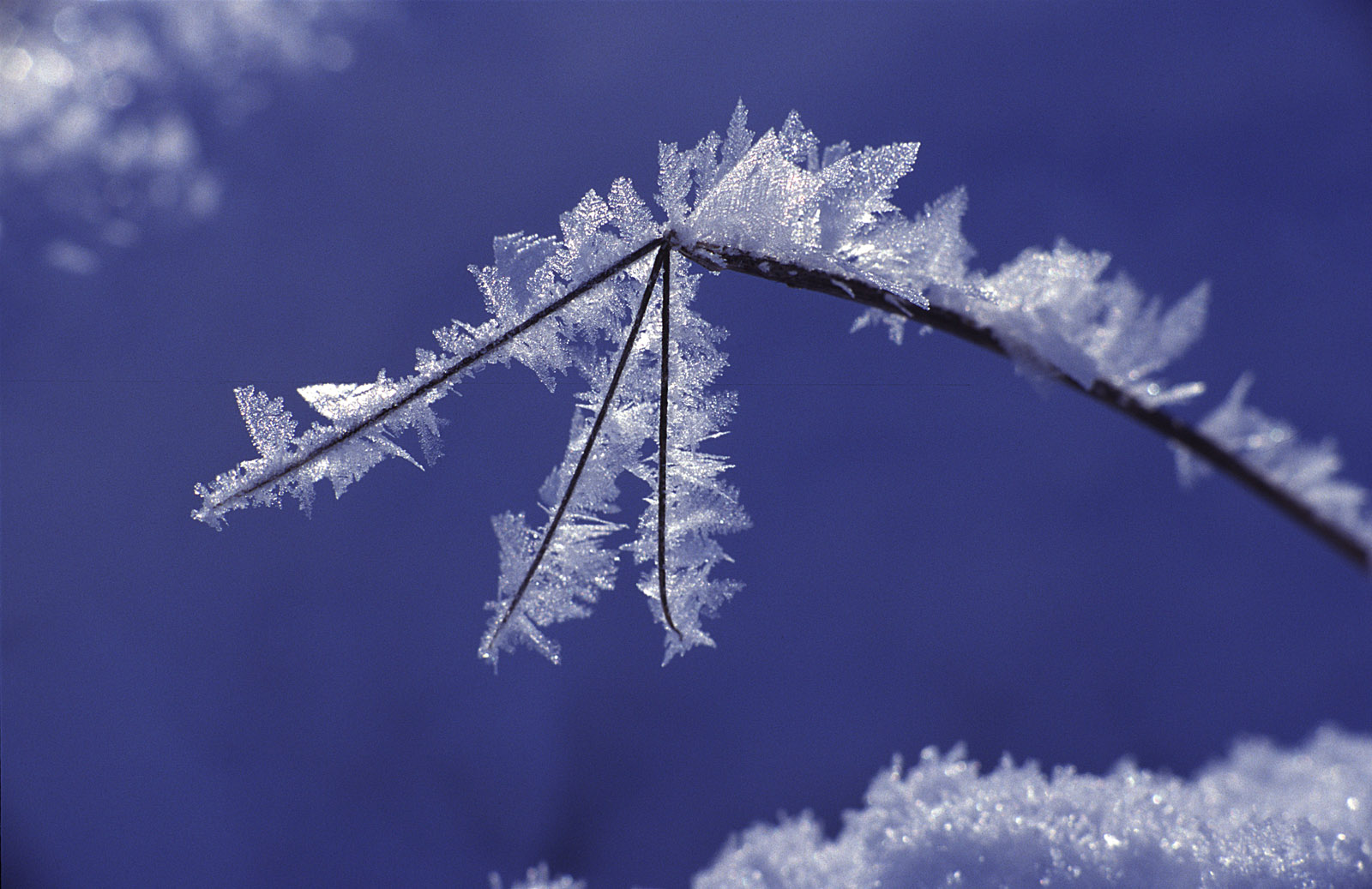 Schneekristalle