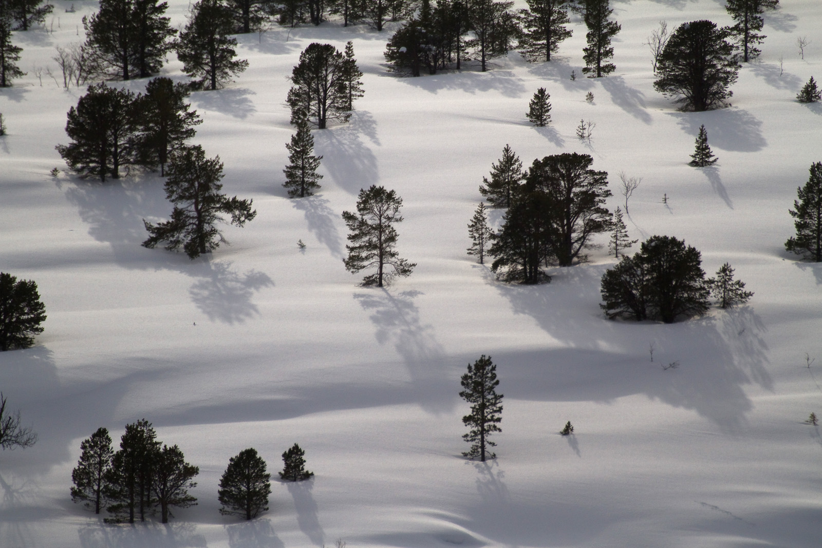 Snow